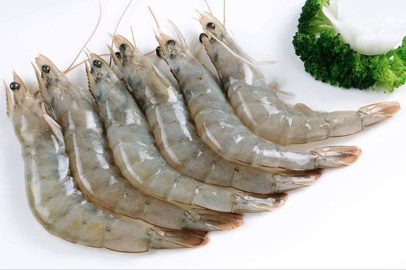 白虾