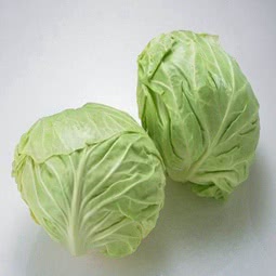 莲白