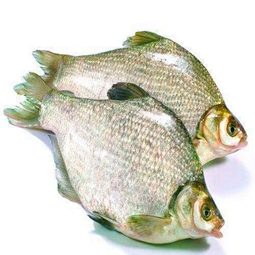 鲜鲂鱼