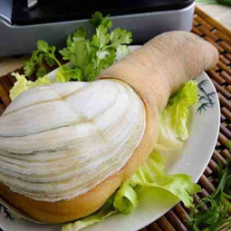大象拔蚌